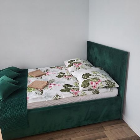 Nest Apartament ザトル エクステリア 写真